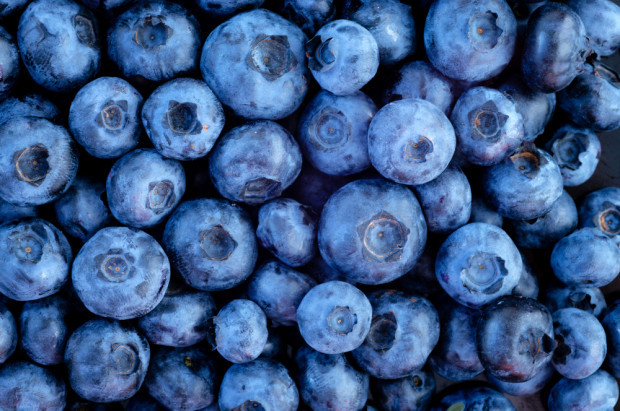 fot. shutterstock Peruwiańskie borówki zdobywają nowe rynki