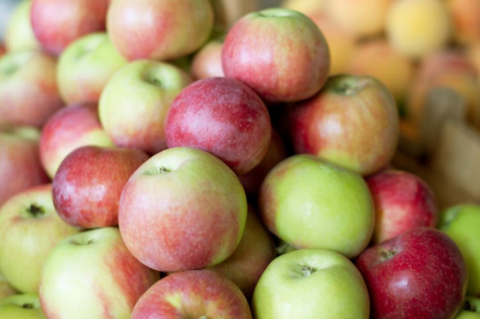 Bronisze: Wysokie ceny jabłek odmian letnich. Potaniały maliny 