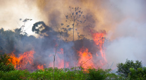 Brazylia: W związku z pożarami wprowadzono zakaz wypalania gruntów
