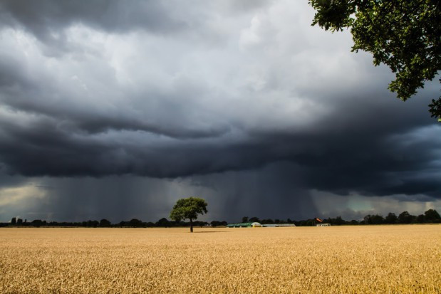 fot. shutterstock.com IMGW ostrzega: upał prawie w całym kraju, burze na południowym-wschodzie