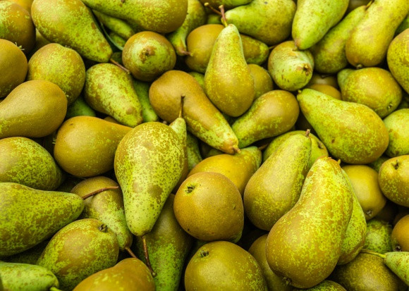 fot. shutterstock Włochy: Mniejsze zbiory gruszek