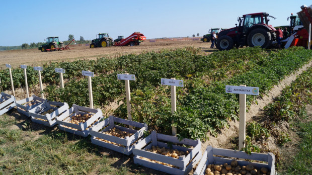 Wydarzenie adresowane jest do producentów ziemniaka z kraju i z zagranicy/ fot. farmer.pl Krajowe Dni Ziemniaka - prezentacje maszyn oraz środków do produkcji