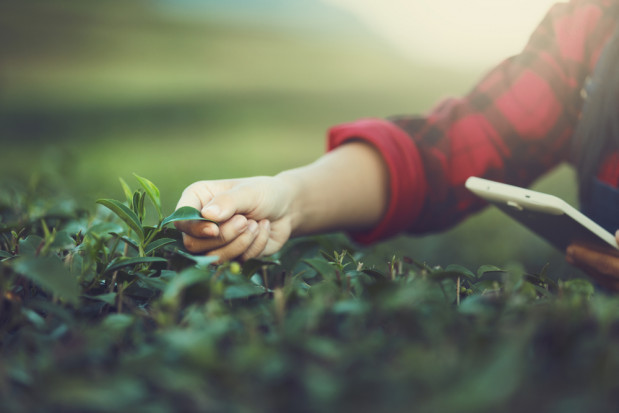 fot. shutterstock.com Aplikacja Vademecum środków ochrony roślin coraz bardziej popularna