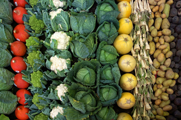 Niższe zbiory warzyw przyczynią się do wyhamowania tempa wzrostu cen żywności
