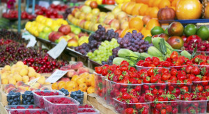 Analiza rynku owoców - raport eksperta IERiGŻ