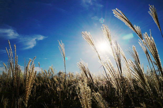 fot. pixabay.com Prognoza pogody: nad Polskę nadciąga ochłodzenie