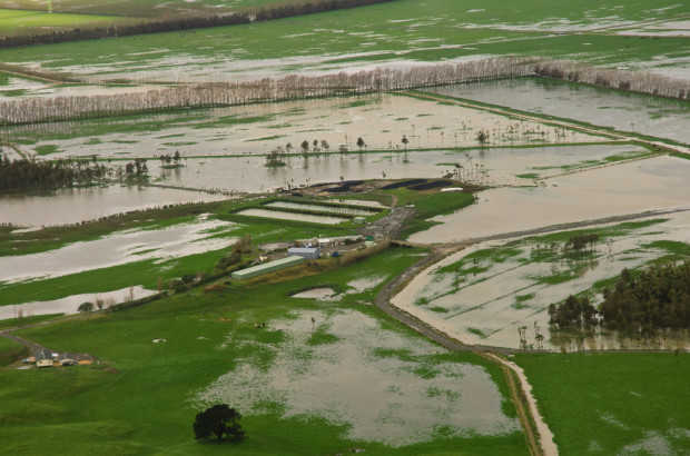 fot. shutterstock.com Hiszpania: powodzie zniszczyły ponad 300 tys. hektarów upraw