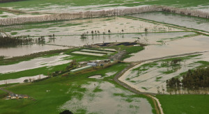 Hiszpania: powodzie zniszczyły ponad 300 tys. hektarów upraw