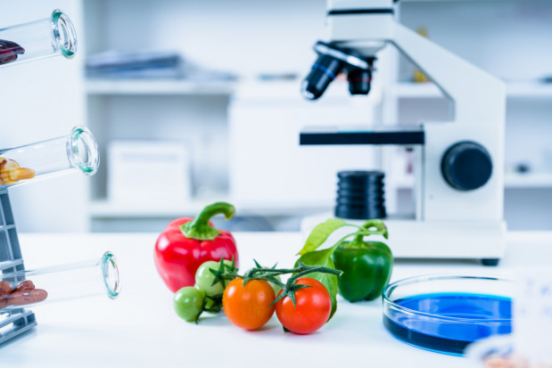 fot. shutterstock.com Rząd przyjął projekt noweli ustawy o jakości handlowej artykułów rolno-spożywczych