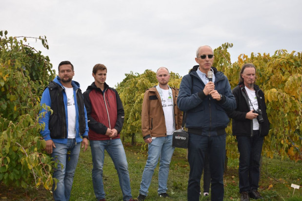 fot. sadyogrody Minikiwi 2019 – dobry sezon dla plantatorów, mimo trudnego wiosennego początku (zdjęcia)
