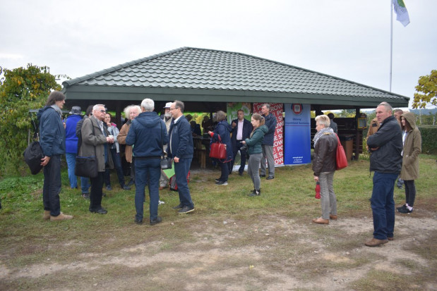 fot. sadyogrody Minikiwi 2019 – dobry sezon dla plantatorów, mimo trudnego wiosennego początku (zdjęcia)
