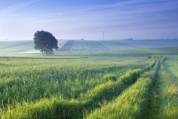 fot. Fotolia ARiMR o średniej wielkości gospodarstwa zgłoszonego do dopłat w 2019 r.