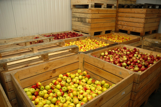 fot. shutterstock.com Innvigo nawiązało partnerstwo z firmą z segmentu środków post-harvest