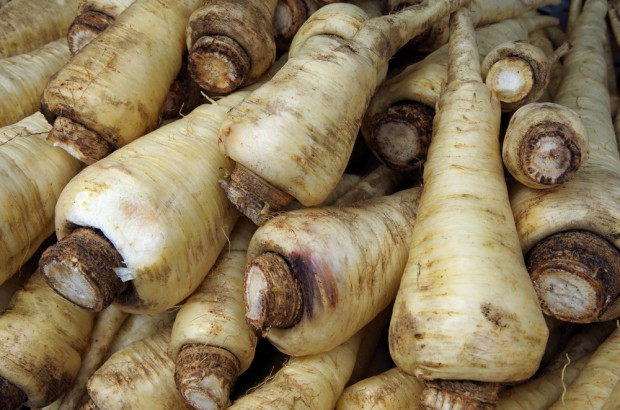 fot. shutterstock Wysoka cena pietruszki zachęciła rolników do zakładania plantacji