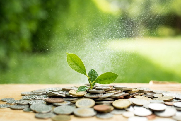 fot. shutterstock ARiMR nie działa właściwie?
