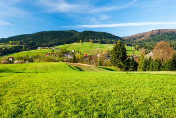 fot. shutterstock Obszary wiejskie to coraz częściej miejsca do zamieszkania z wyboru