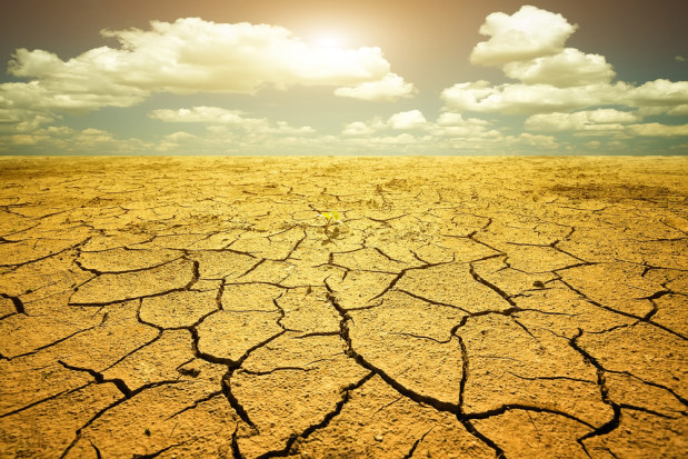 fot. shutterstock.com Konsekwencje ocieplenia klimatu dotkną polską gospodarkę rolną (wideo)