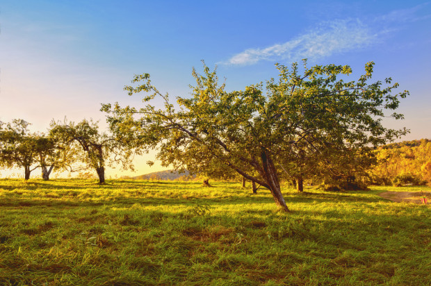 fot. shutterstock Pogoda: Ociepli się. Przed nami polska złota jesień