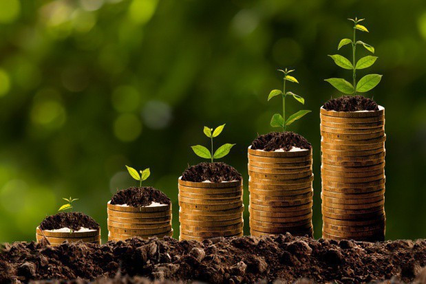 fot. shutterstock Szynkowski vel Sęk: Uzyskaliśmy narzędzie, aby przyśpieszyć wyrównanie dopłat dla rolników
