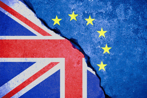 fot. shutterstock Brytyjscy rolnicy z unijnymi dopłatami nawet po twardym brexicie