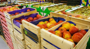 IERiGŻ: W 2019 r. wartość eksportu żywności może wynieść 31,8 mld euro