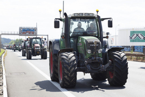 fot. shutterstock.com 22 października odbędą się protesty rolników w Niemczech