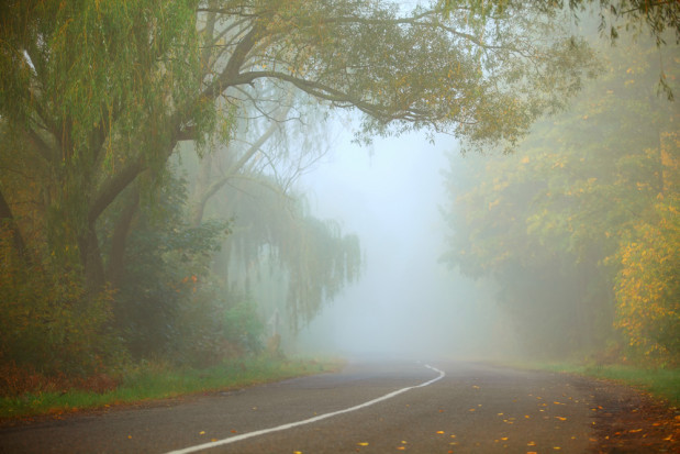 fot. shutterstock IMGW ostrzega przed silną mgłą w czterech województwach
