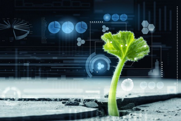 fot. shutterstock Drony, robotyzacja rolnictwa oraz cyfrowe uprawy drogą do efektywnej produkcji?
