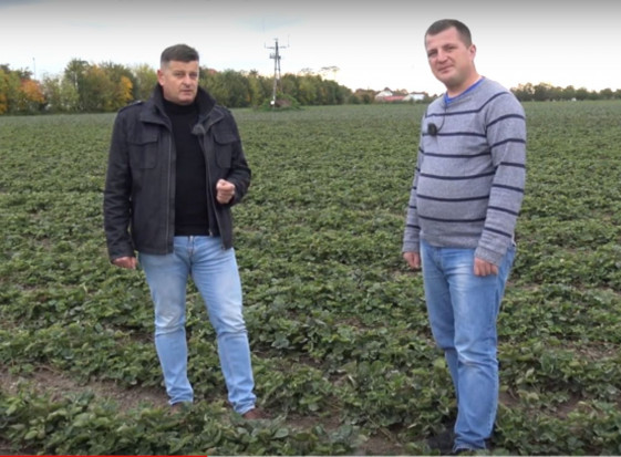 Dr hab. Zbigniew Jarosz oraz Albert Zwierzyński z firmy Doradca Jagodowy/ fot. materiały prasowe Doradca Jagodowy na konferencji SiO: technologie w uprawie truskawek, ochrona, nawożenie (wideo)