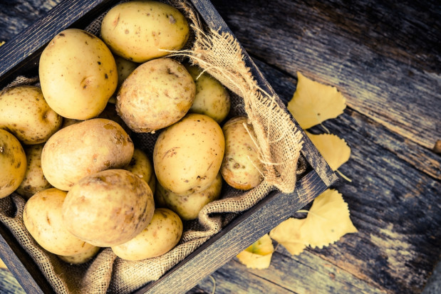 fot. shutterstock.com Ziemniaki uzupełniają dietę podczas aktywności fizycznej