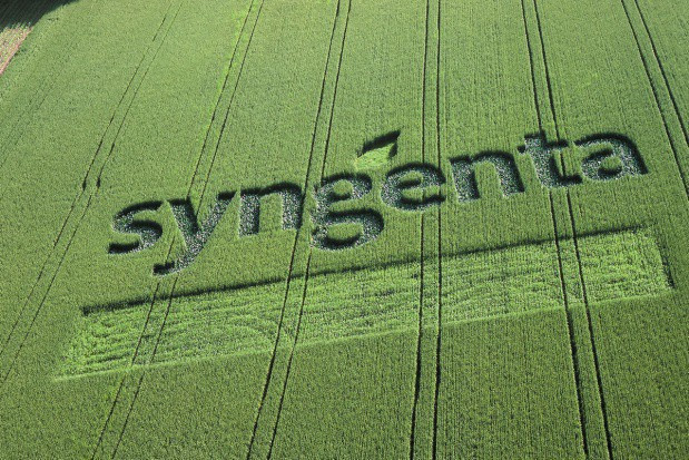 fot. shutterstock Syngenta wspiera rozwój rolnictwa zrównoważonego
