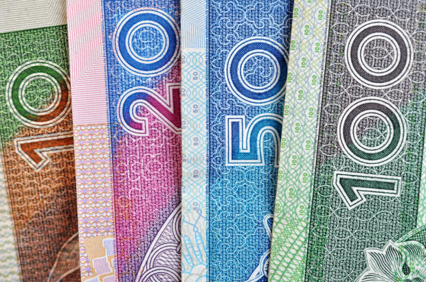 fot. shutterstock Największy wpływ na dochód rolnika mają płatności bezpośrednie