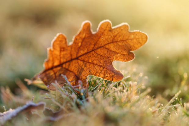 fot. shutterstock.com Pierwszy tak zimny poranek w tym sezonie