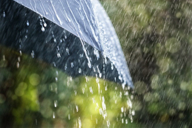 fot. shutterstock Synoptycy zapowiadają obfite opady deszczu