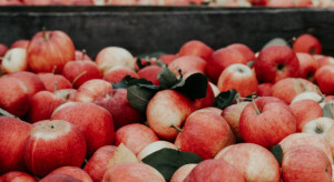 Bronisze: Ceny krajowych jabłek są nadal wysokie 