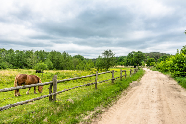 fot. shutterstock Badania odsłaniają nowe oblicze polskiej wsi