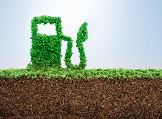 fot. shutterstock Firma Warter Pro Fuels rozpoczęła produkcję ekologicznych benzyn alkilatowych