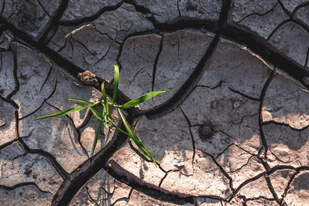 fot. shutterstock.com KO chce powołania stałej sejmowej Komisji ds. Klimatu