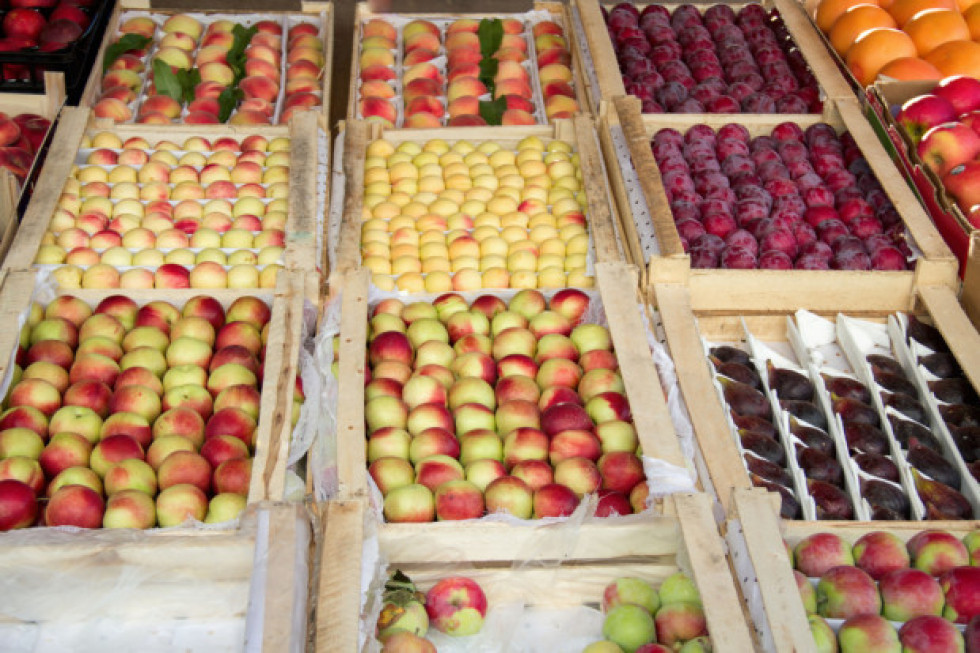 IERiGŻ: Analiza cen owoców i przetworów 