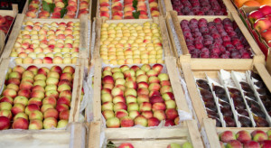 IERiGŻ: Analiza cen owoców i przetworów 