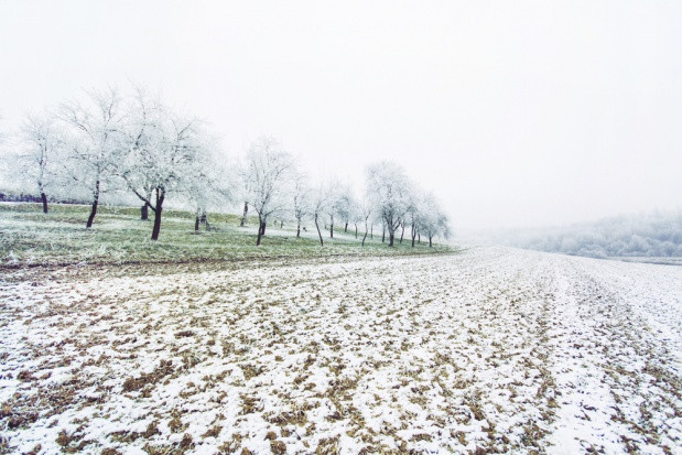fot. shutterstock Pogoda: Nadchodzi zimowa aura. W weekend zrobi się biało
