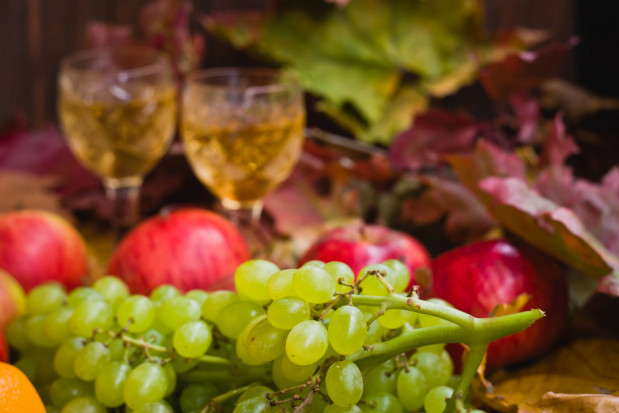 fot. shutterstock.com Produkcja win owocowych z niewielkim wzrostem po 10-ciu miesiącach 2019 r.