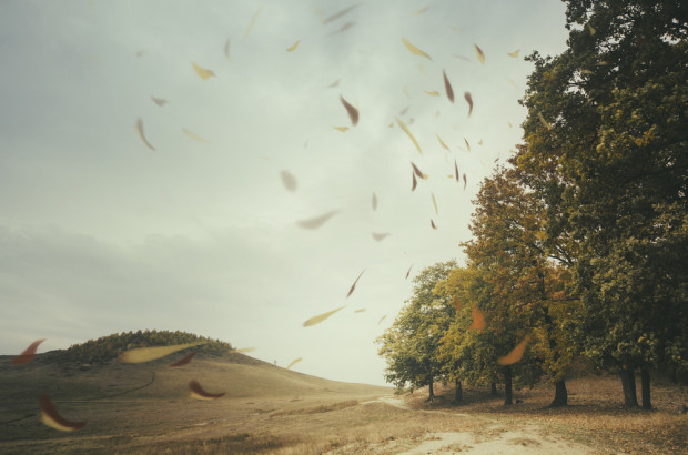 fot. shutterstock IMGW ostrzega przed silnym wiatrem w trzech województwach