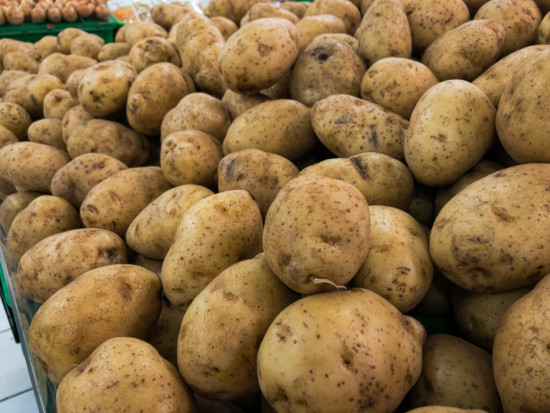 fot. shutterstock Czym wykopać ziemniaki? Przegląd kombajnów