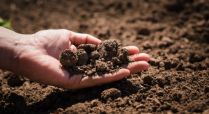 5 grudnia obchodzimy Światowy Dzień Gleby