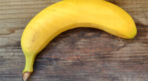 Miami: Banan sprzedany za 120 tys. dolarów