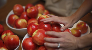 Jabłka SweeTango - skrzyżowanie Honeycrisp i Zestar - podbija gusta konsumentów w USA