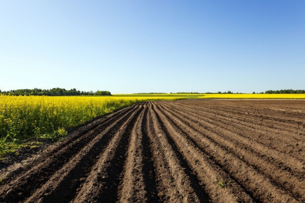 fot. shutterstock KOWR: W ciągu trzech kwartałów sprzedano 2,6 tys. ha gruntów