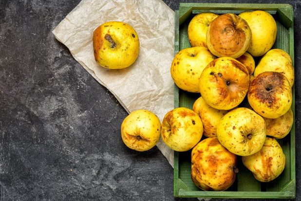 fot. shutterstock.com Sklepy Aldi w Niemczech pomagają sadownikom i sprzedają brzydkie jabłka