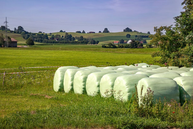 fot. shutterstock.com Zbiórka odpadów porolniczych - jedynie 159 wniosków o dofinansowanie